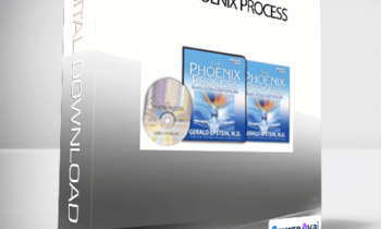 Gerald Epstein - The Phoenix Process