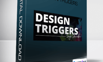Sagi Shrieber - Design Triggers