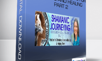 Sandra Ingerman - Shamanic Journeying For Guidance And Healing Part 2