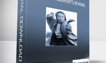 Adam Hsu - Xingyi Five Elements Boxing