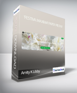 Amity K Libby - 'Festiva Maxima' Paper Peony