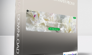 Amity K Libby - 'Festiva Maxima' Paper Peony