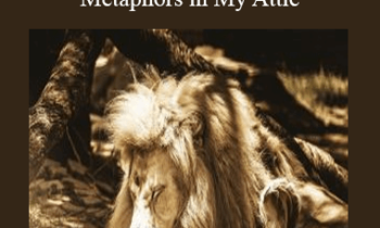 Andrew Austin - Metaphors in My Attic