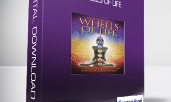 Anodea Judith - Wheels of Life