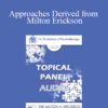 [Audio] EP09 Topical Panel 18 - Approaches Derived from Milton Erickson: Compare and Contrast Solution-Focused