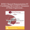 [Audio Only] BT02 Clinical Demonstration 05 - Facilitating the Creative Dynamics of Gene Expression and Brain Growth - Ernest Rossi