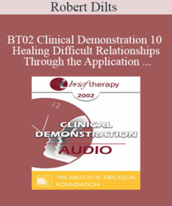 [Audio Only] BT02 Clinical Demonstration 10 - Healing Difficult Relationships Through the Application of Different Perceptual Positions - Robert Dilts