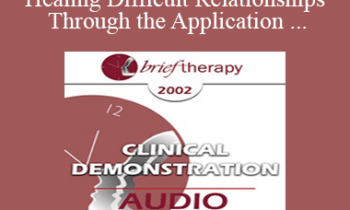 [Audio Only] BT02 Clinical Demonstration 10 - Healing Difficult Relationships Through the Application of Different Perceptual Positions - Robert Dilts
