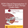 [Audio Only] BT03 Clinical Demonstration 12 - Pain Control in Brief Therapy - Stephen Lankton