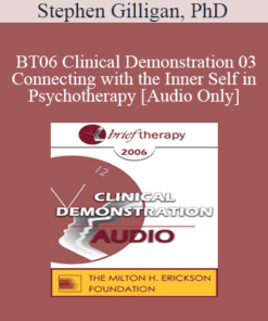 [Audio Only] BT06 Clinical Demonstration 03 - Connecting with the Inner Self in Psychotherapy - Stephen Gilligan