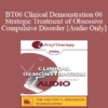 [Audio Only] BT06 Clinical Demonstration 06 - Strategic Treatment of Obsessive Compulsive Disorder - Reid Wilson