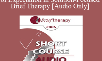 [Audio Only] BT06 Short Course 03 - The Use of Expectation in Solution-Focused Brief Therapy - Michael Reiter