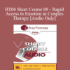 [Audio Only] BT06 Short Course 09 - Rapid Access to Emotion in Couples Therapy: Applying Attachment and Affective Neuroscience - Marion Solomon