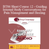 [Audio Only] BT06 Short Course 12 - Guiding Internal Body Conversations for Pain Management and Healing - Jeanne Hernandez