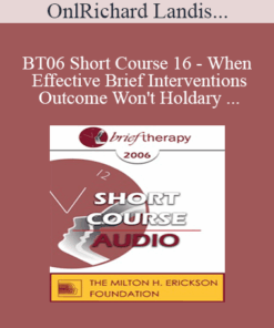 [Audio Only] BT06 Short Course 16 - When Effective Brief Interventions Outcome Won't Hold: A Systemic Constructions Perspective for Analysis and Treatment - Richard Landis