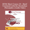 [Audio Only] BT06 Short Course 20 - Brief Treatment with the Borderline Personality - Michael Munion