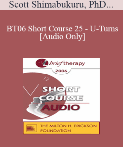 [Audio Only] BT06 Short Course 25 - U-Turns: Avoiding Therapeutic Dead Ends - Scott Shimabukuru