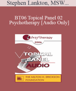 [Audio Only] BT06 Topical Panel 02 - Psychotherapy: Art or Science? - Stephen Lankton