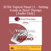 [Audio Only] BT06 Topical Panel 11 - Setting Goals in Brief Therapy - Stephen Gilligan