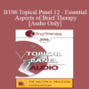 [Audio Only] BT06 Topical Panel 12 - Essential Aspects of Brief Therapy - Steve Andreas