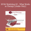 [Audio Only] BT06 Workshop 02 - What Works in Therapy: Translating 40 Years of Outcome Research into Empirically Supported Therapeutic Strategies - Scott Miller