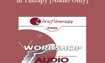 [Audio Only] BT06 Workshop 02 - What Works in Therapy: Translating 40 Years of Outcome Research into Empirically Supported Therapeutic Strategies - Scott Miller