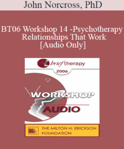 [Audio Only] BT06 Workshop 14 - Psychotherapy Relationships That Work: Tailoring the Relationship to the Individual Patient - John Norcross