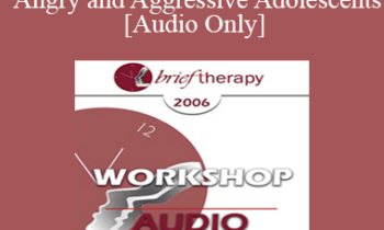 [Audio Only] BT06 Workshop 47 - Therapy with Angry and Aggressive Adolescents: A Systemic Approach Treatment - Kenneth V. Hardy