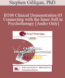 [Audio Only] BT08 Clinical Demonstration 03 - Connecting with the Inner Self in Psychotherapy - Stephen Gilligan