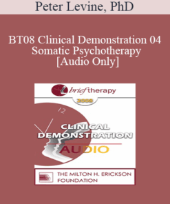 [Audio Only] BT08 Clinical Demonstration 04 - Somatic Psychotherapy - Peter Levine