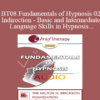 [Audio Only] BT08 Fundamentals of Hypnosis 02 - Indirection - Basic and Intermediate Language Skills in Hypnosis - Stephen Lankton