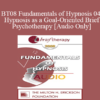 [Audio Only] BT08 Fundamentals of Hypnosis 04 - Hypnosis as a Goal-Oriented Brief Psychotherapy - Michael Yapko