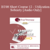 [Audio Only] BT08 Short Course 12 - Utilization Sobriety: Incorporating the Essence of Body-Mind Communication for Brief Individualized Substance Abuse Treatment - Bart Walsh