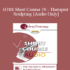 [Audio Only] BT08 Short Course 19 - Therapist Sculpting - Lilian Borges