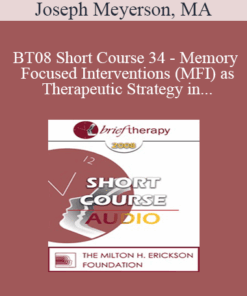[Audio Only] BT08 Short Course 35 - Brief Therapy Approaches to Treating Anxious Children - Lynn Lyons