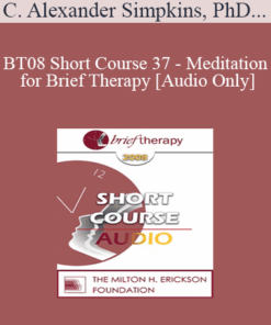 [Audio Only] BT08 Short Course 37 - Meditation for Brief Therapy: Research
