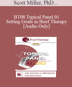 [Audio Only] BT08 Topical Panel 01 - Setting Goals in Brief Therapy - Scott Miller