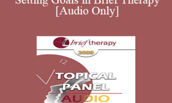 [Audio Only] BT08 Topical Panel 01 - Setting Goals in Brief Therapy - Scott Miller