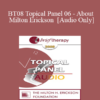 [Audio Only] BT08 Topical Panel 06 - About Milton Erickson - Stephen Gilligan