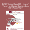 [Audio Only] BT08 Topical Panel 07 - Use of Theory in Clinical Practice - Steven Hayes