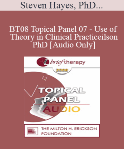[Audio Only] BT08 Topical Panel 07 - Use of Theory in Clinical Practice - Steven Hayes