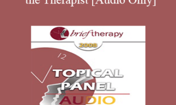 [Audio Only] BT08 Topical Panel 08 - Person of the Therapist - Kenneth V. Hardy