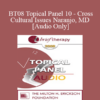 [Audio Only] BT08 Topical Panel 10 - Cross-Cultural Issues - Steven Hayes