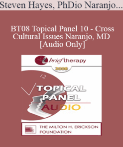[Audio Only] BT08 Topical Panel 10 - Cross-Cultural Issues - Steven Hayes