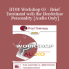 [Audio Only] BT08 Workshop 03 - Brief Treatment with the Borderline Personality - Michael Munion