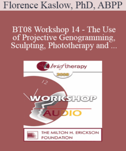[Audio Only] BT08 Workshop 14 - The Use of Projective Genogramming