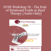 [Audio Only] BT08 Workshop 38 - The Role of Relational Fields in Brief Therapy - Robert Dilts