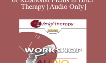 [Audio Only] BT08 Workshop 38 - The Role of Relational Fields in Brief Therapy - Robert Dilts