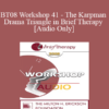 [Audio Only] BT08 Workshop 41 - The Karpman Drama Triangle in Brief Therapy - Stephen Karpman