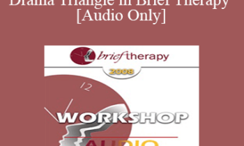 [Audio Only] BT08 Workshop 41 - The Karpman Drama Triangle in Brief Therapy - Stephen Karpman